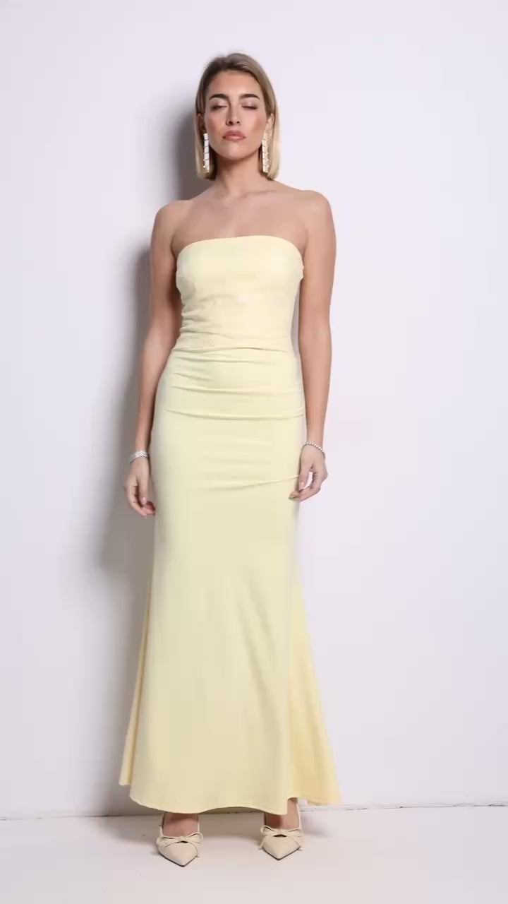 Zendaya long dress